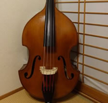 ハルシュタット ウッド WBS-800